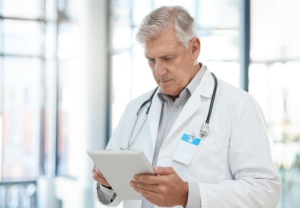 a doctor using a tablet in a hospital. - Fotó, kép