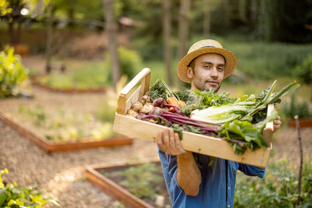 Portrait d'un beau fermier en chapeau de paille portant sur son épaule une boîte pleine de légumes fraîchement cueillis sur les terres agricoles. Concept d'alimentation biologique locale - Photo, image