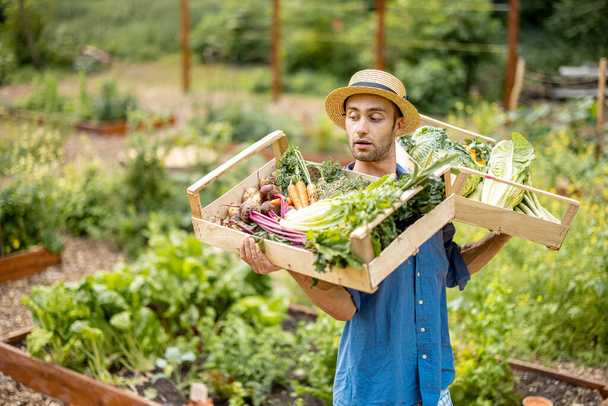 Πορτραίτο ενός όμορφου αγρότη με ψάθινο καπέλο που κουβαλάει στους ώμους του κουτιά γεμάτα φρεσκοκομμένα λαχανικά σε χωράφια. Έννοια των βιολογικών τοπικών καλλιεργούμενων τροφίμων - Φωτογραφία, εικόνα