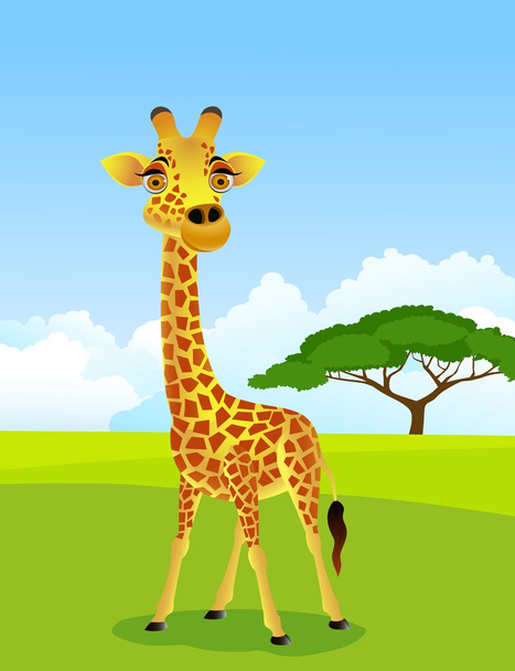 Cartone animato giraffa
 - Vettoriali, immagini