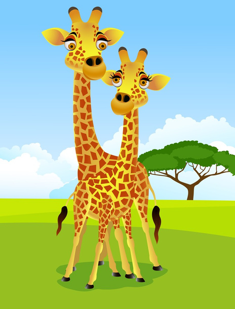 Giraffe couple - Vector, Image