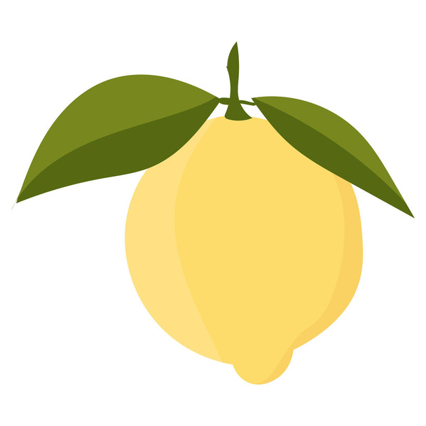 Lemon with leaves minimalism. Sour fresh lemon fruit. Vector illustration - Vektör, Görsel