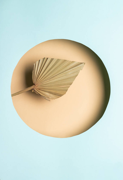 Modern frame with a circle shape with a palm leaf inside. Geometric template.  - Photo, image