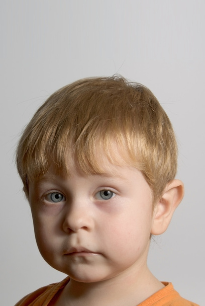Portrait of the boy - Fotó, kép