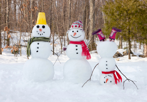 Snowman family - Photo, Image