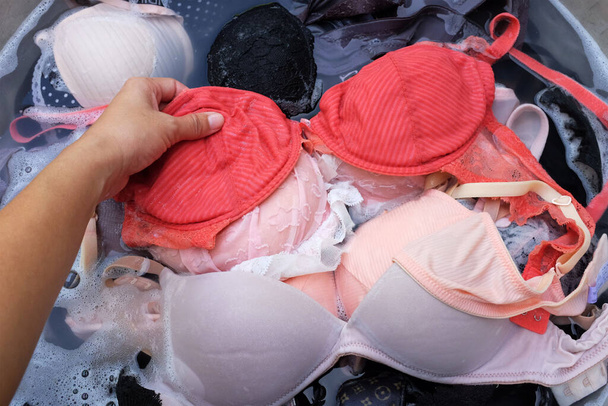Washing bras in the basin. Washing clothes by hand. - 写真・画像