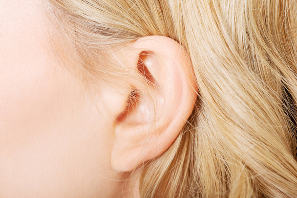 Female ear - Φωτογραφία, εικόνα