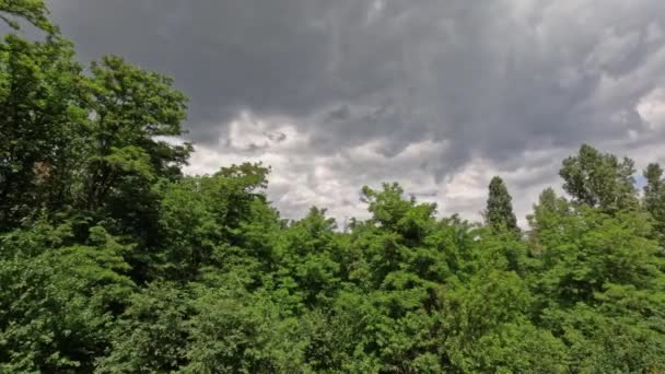 Lasso di tempo di cumulo e nubi temporalesche sulla foresta - Filmati, video