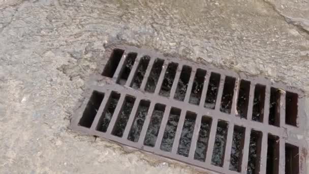 Rainwater running down to storm drain with cast iron grid - 映像、動画