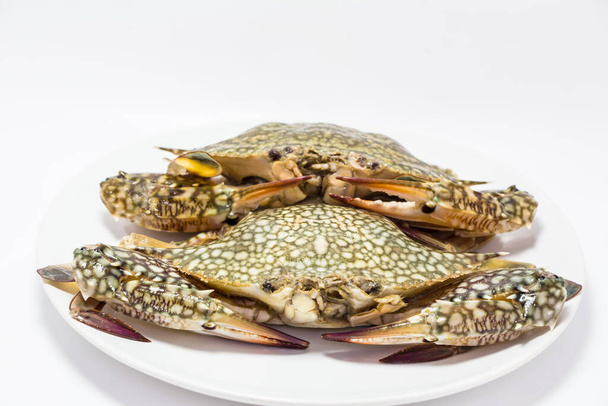 Crab on plate close-up view - Foto, immagini