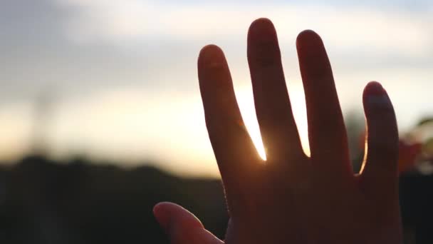 Person holding hand up to the light touching rays of warm sunshine through finger tips. Freedom in nature, and spirituality concept.  - Filmati, video