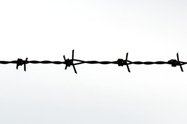 Close up Barbed Wire Fence - Photo, Image