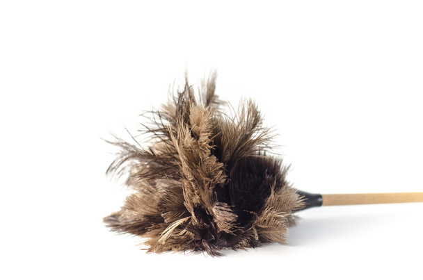 Brush feather dusting - 写真・画像