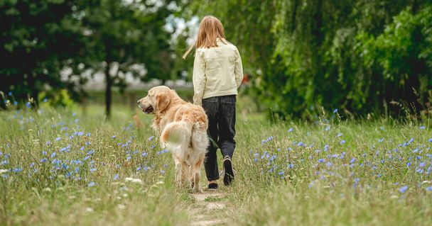 Rear view of a little girl walking dog on flowering meadow - Photo, image