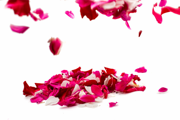 rózsaszirmok  - Fotó, kép