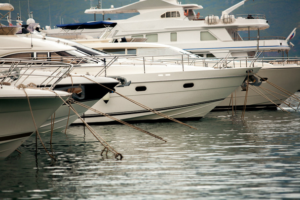 white luxury yachts and boats moored at sea harbor  - Photo, Image