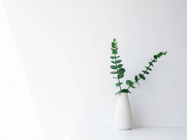 Διακόσμηση εσωτερικού χώρου κομψό floral βάζο, απαλή λευκή σύνθεση. Όμορφα πράσινα φύλλα κλαδιά σε λευκό ψηλό βάζο σε λευκό φόντο τοίχου με χώρο αντιγραφής, minimal style. - Φωτογραφία, εικόνα