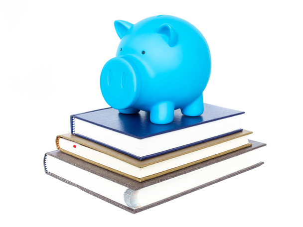 Μπλε Τράπεζα piggy σε βιβλίο σε άσπρο φόντο  - Φωτογραφία, εικόνα
