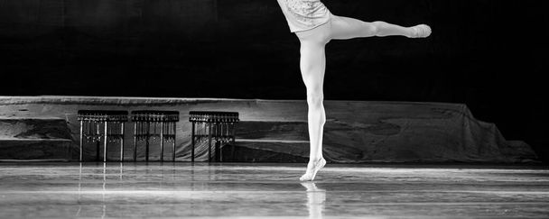 Ballet do Lago dos Cisnes. Closeup de bailarinas dançando - Foto, Imagem