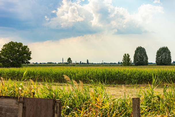 Magnificent cloudy sky over the fields scene in summer - 写真・画像