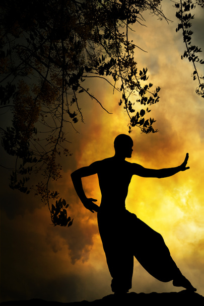 spirituele martial arts zonsondergang - Foto, afbeelding