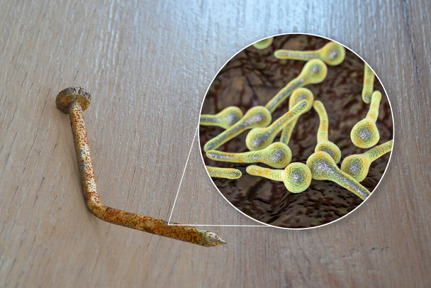Tetanus. Bacteria Clostridium tetani and a rusty metal nail as a common cause of transmission of tetanus bacteria by contaminated foot wound from nails and other dirty objects, 3D illustration - Fotó, kép
