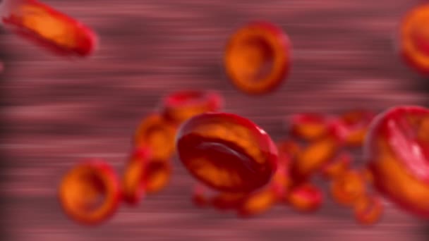 血液の赤血球を移動 - 映像、動画