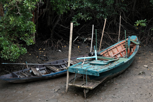 stara łódź wiosłowa w lesie namorzynowym w Tajlandii - Zdjęcie, obraz