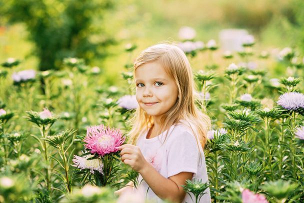 Close up portrait of beautiful joyful blonde girl child holding flower and smiles in Chrysanthemum field. kids fantasy. Smiling girl blue eyed, fair skinned girl with happy and peaceful expression - Photo, Image
