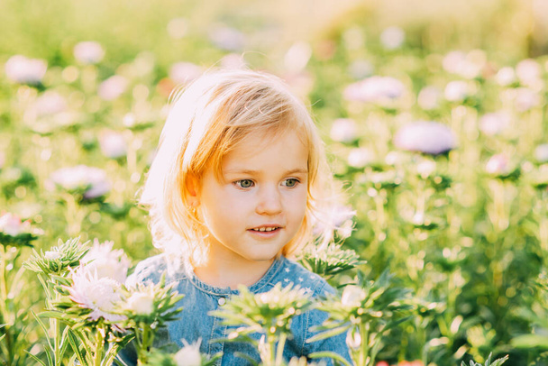 Close up portrait of beautiful joyful blonde girl child holding flower and smiles in Chrysanthemum field. kids fantasy. Smiling girl blue eyed, fair skinned girl with happy and peaceful expression - Photo, image