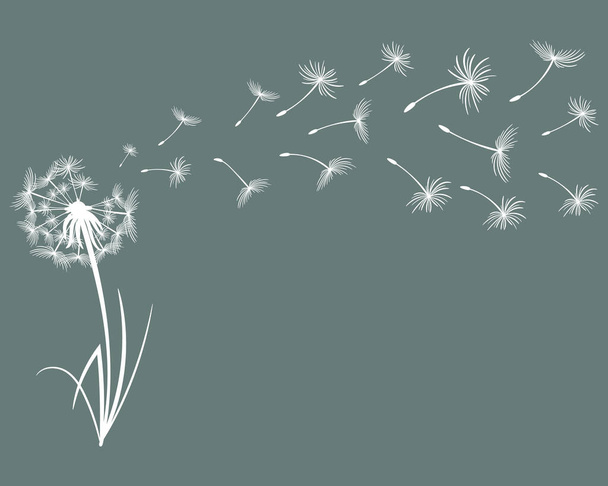 Drawn white dandelion with flying fluffs on a dark background. Print, illustration, postcard, vector - Vecteur, image