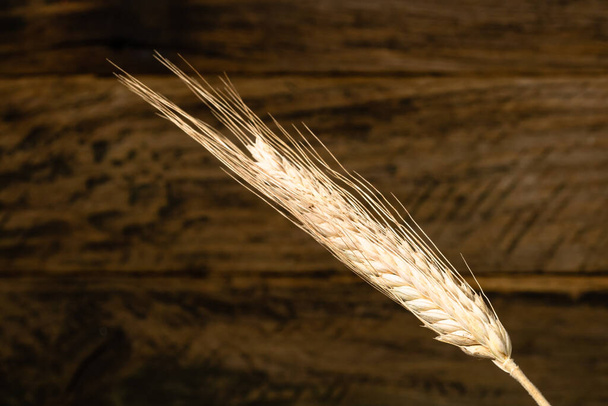 Wheat ears detail. Cereals for backery, flour production - Foto, imagen