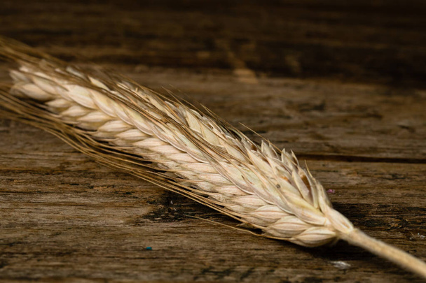 Пшеничные уши детали. Зерновые для хлебобулочных изделий, производства муки - Фото, изображение