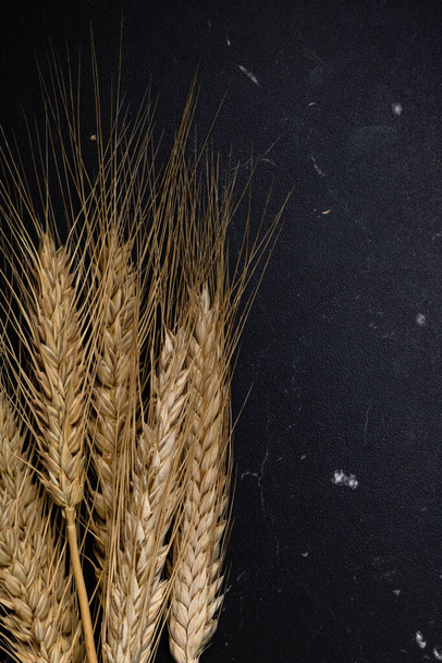 Wheat ears detail. Cereals for backery, flour production - Foto, Imagem