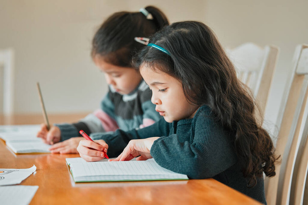 two sisters completing their homework together. - Foto, Bild
