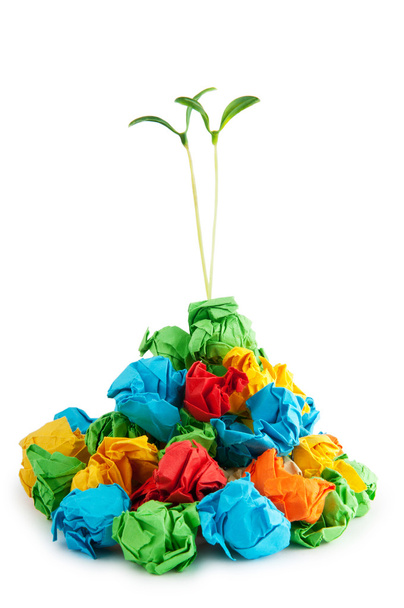 Paperin kierrätys konsepti taimet valkoinen
 - Valokuva, kuva