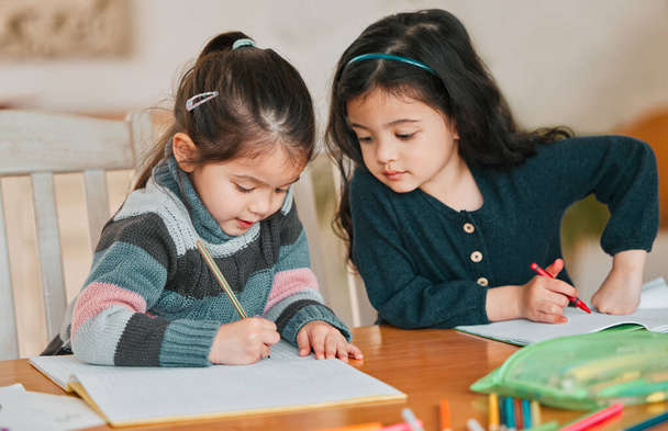 two sisters completing their homework together. - 写真・画像