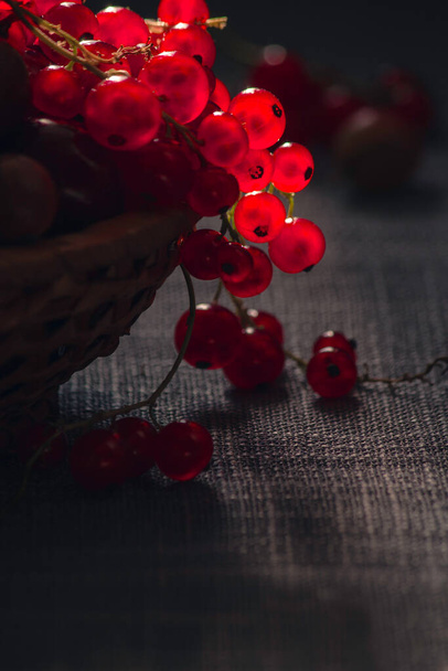 ripe fresh red currants on the dark background - Zdjęcie, obraz