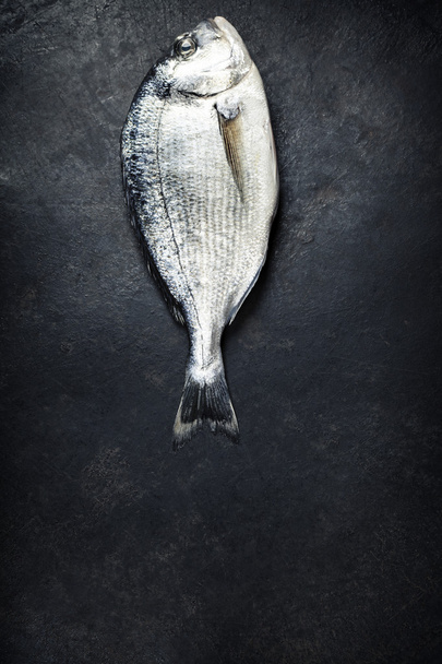 φρέσκο ψάρι - Φωτογραφία, εικόνα