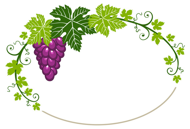 Grapes frame with leaves on white background - Vector, Image