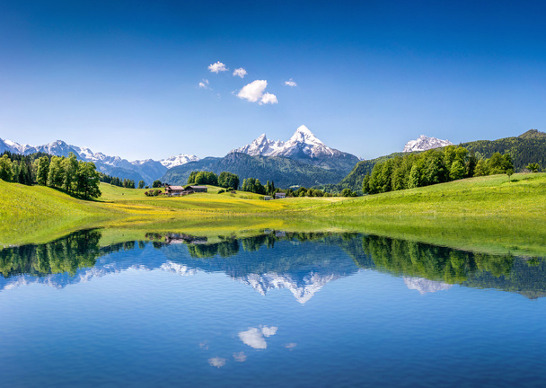 Идиллический летний пейзаж с чистым горным озером в Альпах
 - Фото, изображение
