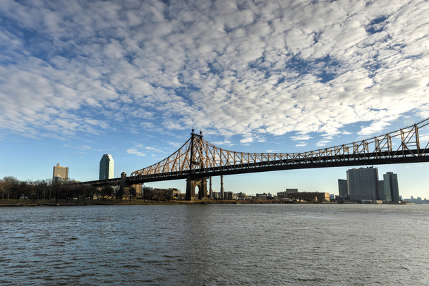 Ponte di Roosevelt Island, New York - Foto, immagini
