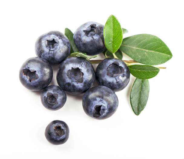 Mature bilberry - Photo, Image