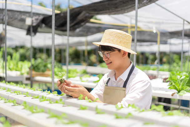 Concepto vegetal hidropónico, Hombre asiático comprobando plántulas de lechuga en sistema hidropónico en granja. - Foto, imagen