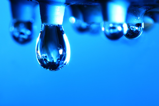 Water drops - Photo, Image