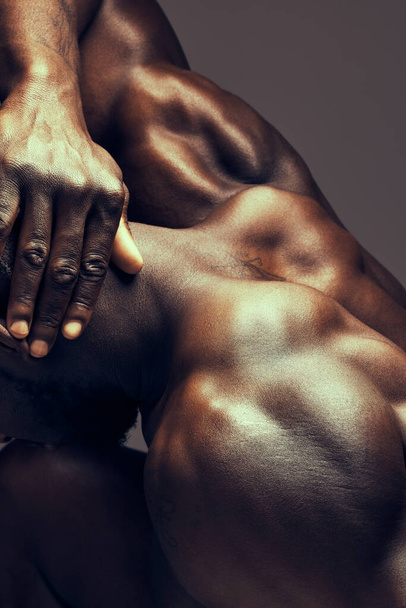 a unrecognizable mans muscular back against a studio background. - 写真・画像