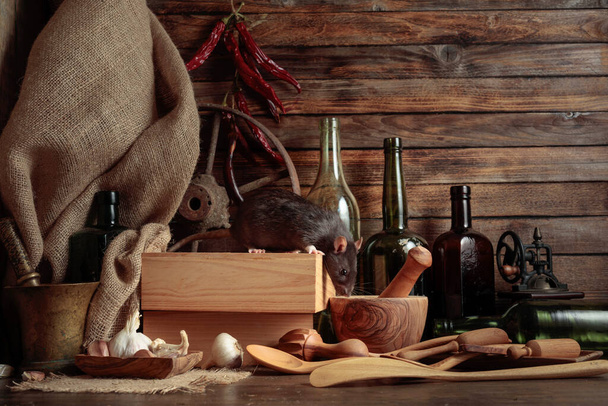 Крыса на столе со старой кухонной утварью в деревянном сарае. - Фото, изображение