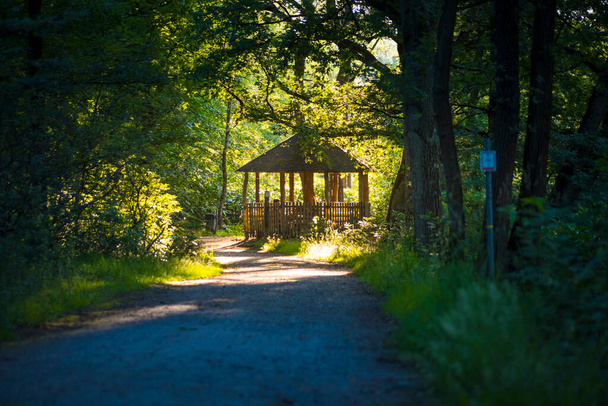 View on pavilion or arbor in nature park De Uitlegger in Kapellen, Belgium - Foto, Bild