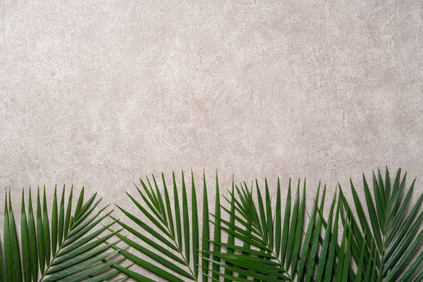 Top view of tropical palm leaves branch isolated on dark gray background with copy space. - Foto, afbeelding