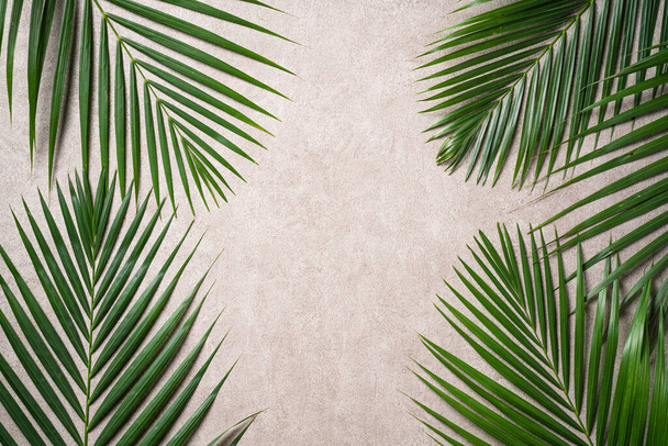 Top view of tropical palm leaves branch isolated on dark gray background with copy space. - Fotó, kép
